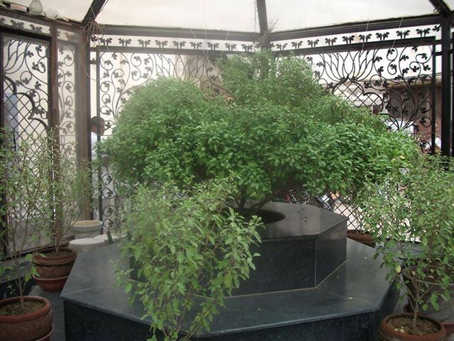 File:Tulasi KB Mandir.jpg