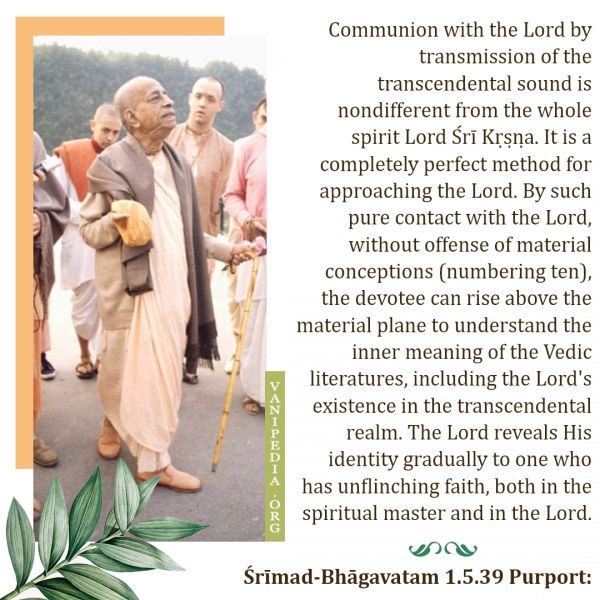 File:SB01.05.39 Image-quote.jpg