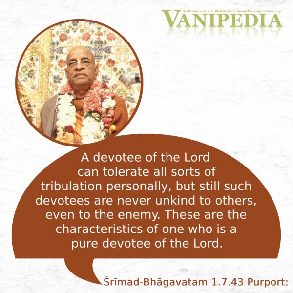 File:SB01.07.43b Image-quote.jpg