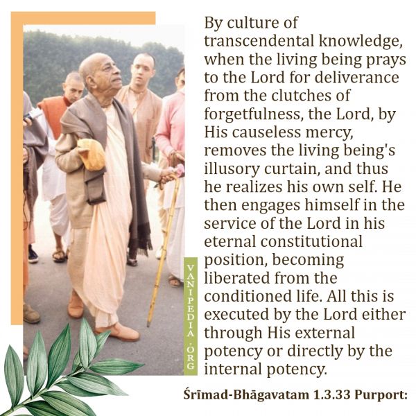 File:SB01.03.33 Image-quote.jpg