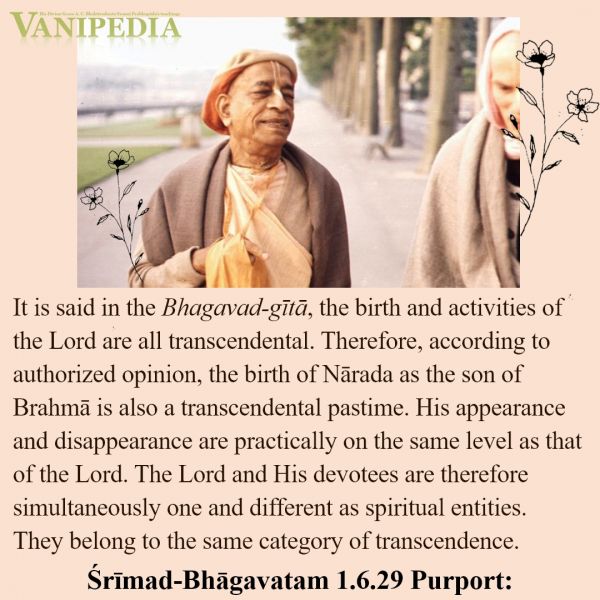 File:SB01.06.29 Image-quote.jpg