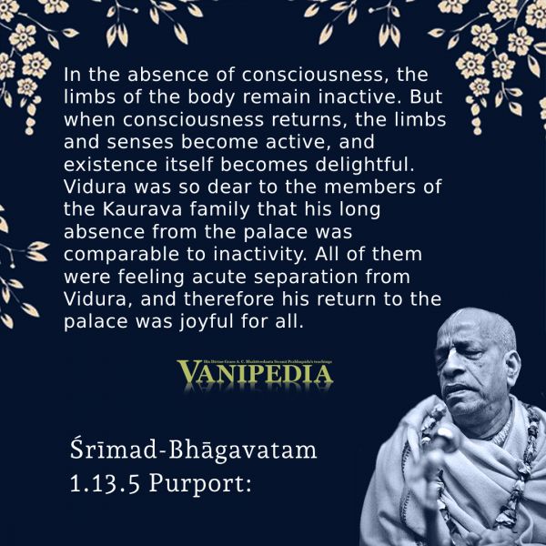 File:SB01.13.05 Image-quote.jpg