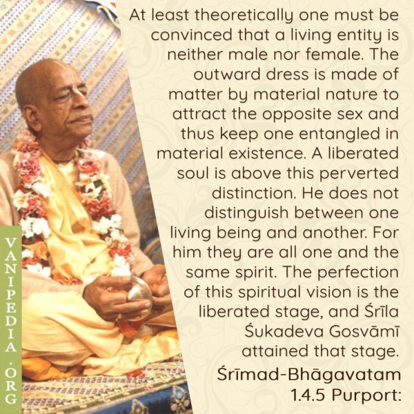 File:SB01.04.05 Image-quote.jpg