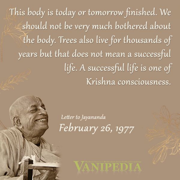 File:022677 Image-quote.jpg.jpg