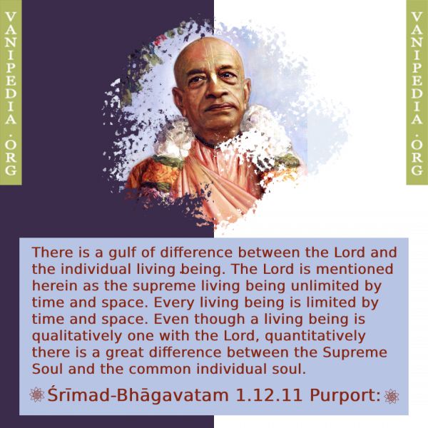 File:SB01.12.11 Image-quote.jpg