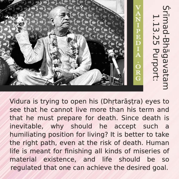 File:SB01.13.25 Image-quote.jpg