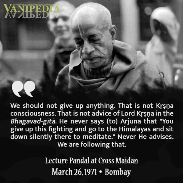 File:032671 Image-quote.jpg