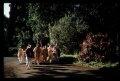 Thumbnail for version as of 09:43, 6 April 2008