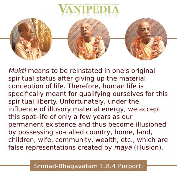 File:SB01.08.04d Image-quote.jpg