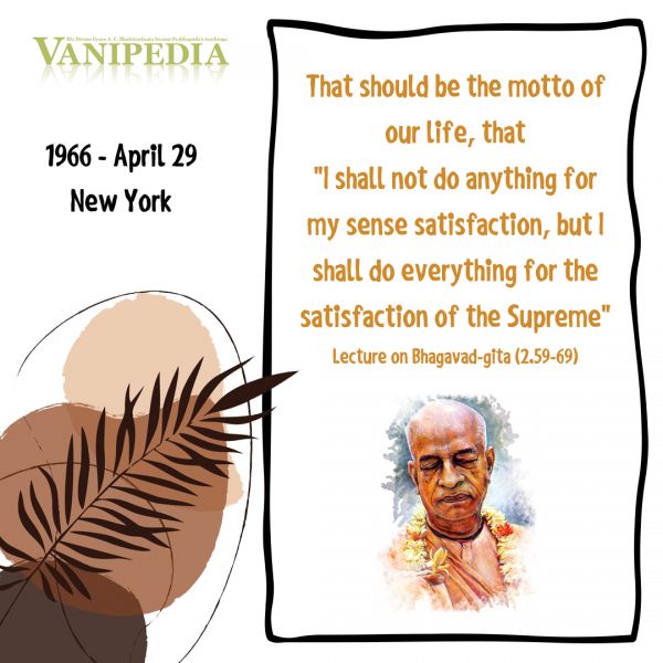File:042966 Image-quote.jpg