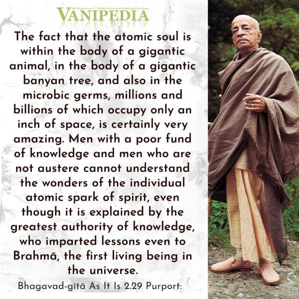 File:BG02.29 Image-quote.jpg