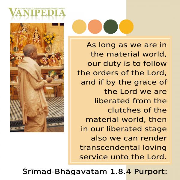 File:SB01.08.04b Image-quote.jpg