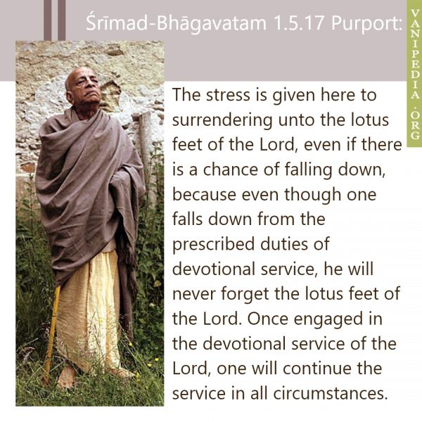 File:SB01.05.17 Image-quote.jpg