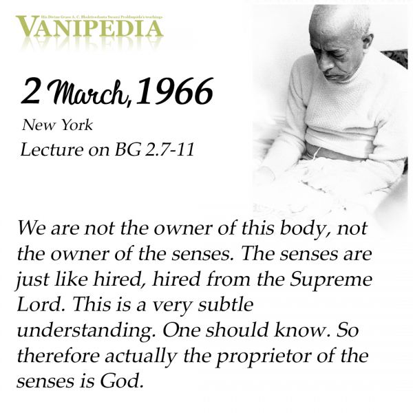File:030266 Image-quote.jpg
