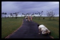 Thumbnail for version as of 09:47, 6 April 2008