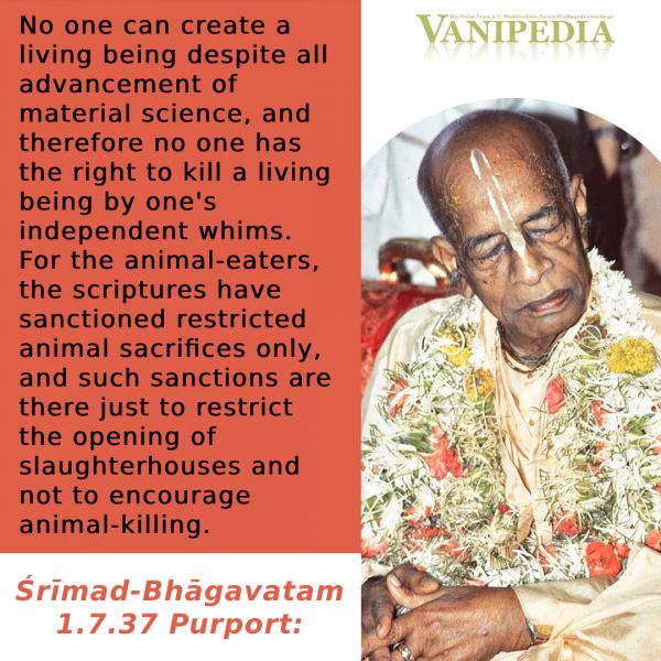 File:SB01.07.37b Image-quote.jpg