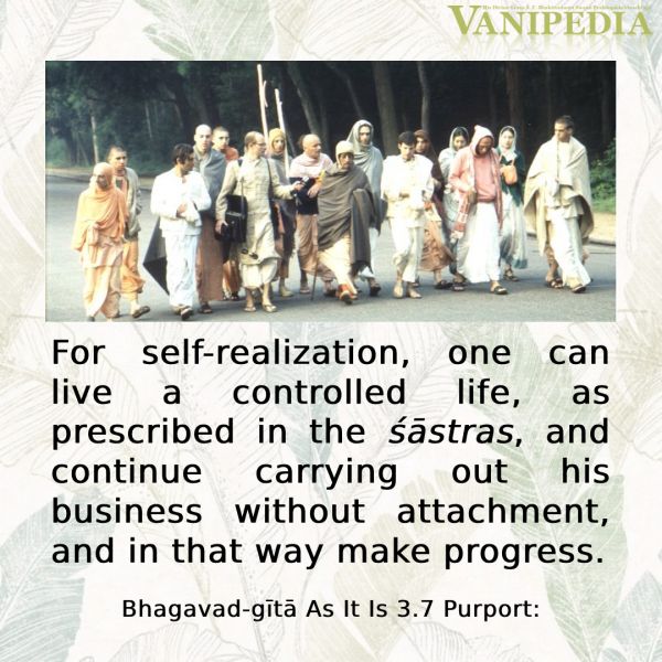 File:BG03.07 Image-quote.jpg