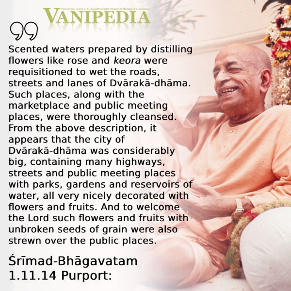 File:SB01.11.14 Image-quote.jpg