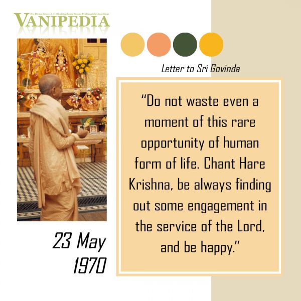 File:052370 Image-quote.jpg