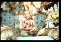 Thumbnail for version as of 09:56, 6 April 2008