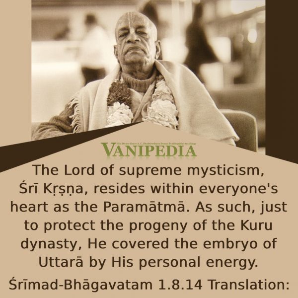 File:SB01.08.14 Image-quote.jpg