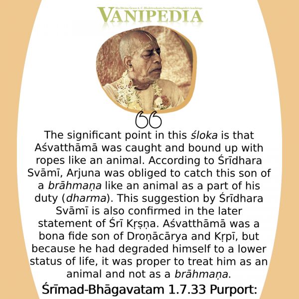 File:SB01.07.33 Image-quote.jpg