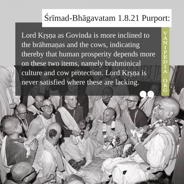 File:SB01.08.21e Image-quote.jpg