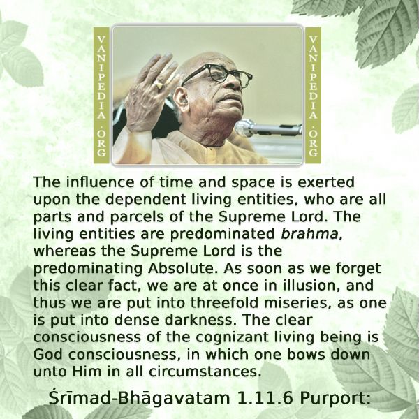 File:SB01.11.06 Image-quote.jpg