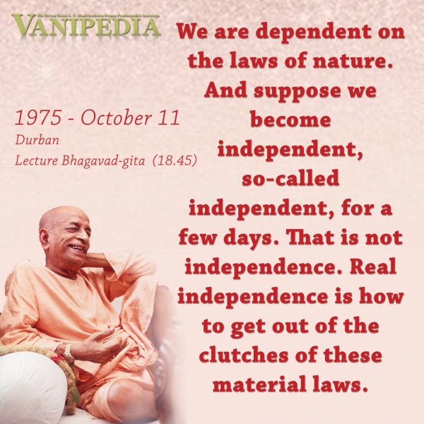File:101175 Image-quote.jpg