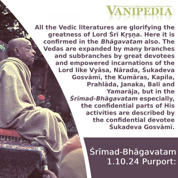 File:SB01.10.24 Image-quote.jpg