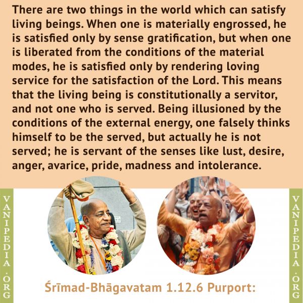 File:SB01.12.06 Image-quote.jpg
