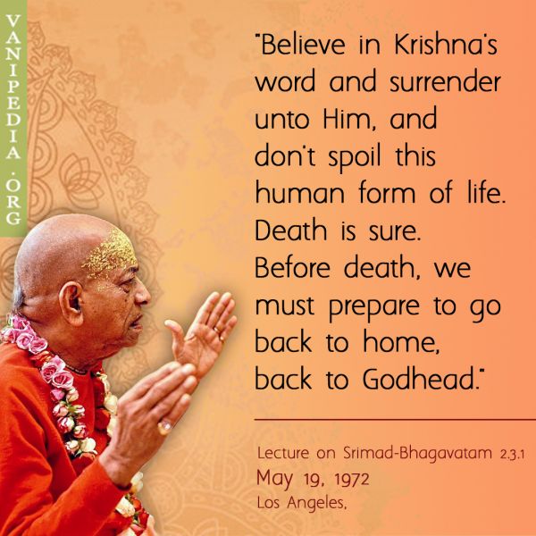 File:051972 Image-quote.jpg