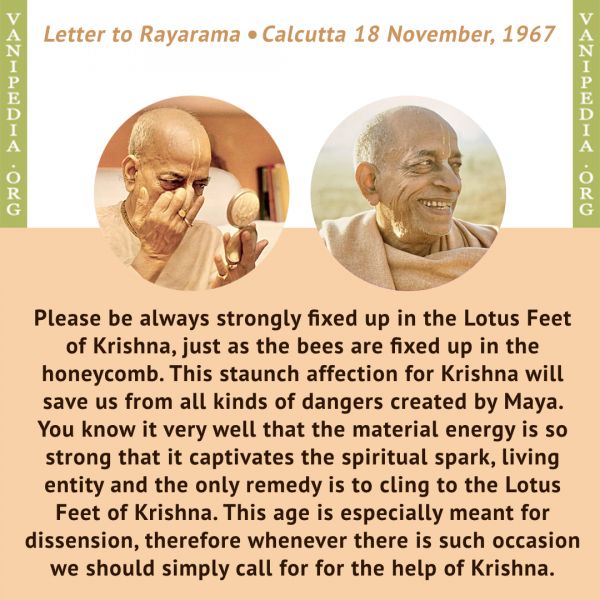File:111867b Image-quote.jpeg