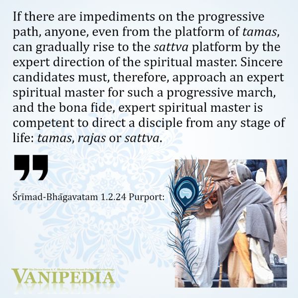 File:SB01.02.24 Image-quote.jpg