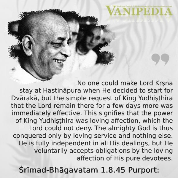 File:SB01.08.45 Image-quote.jpg