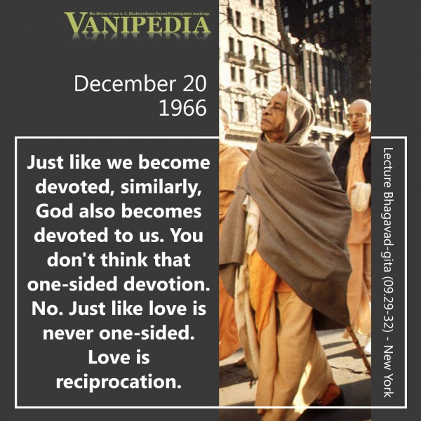 File:122066 Image-quote.jpg