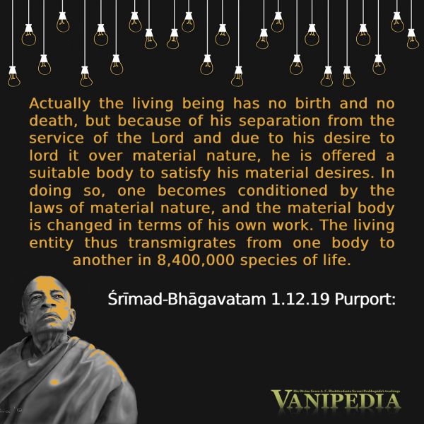 File:SB01.12.19 Image-quote.jpg