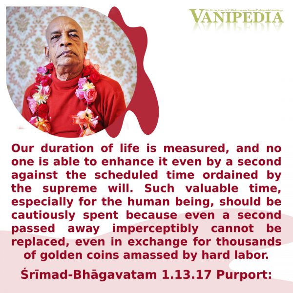 File:SB01.13.17 Image-quote.jpg