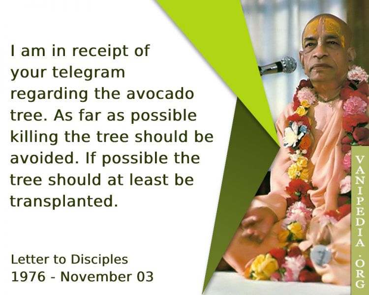 File:110376 Image quote.jpg
