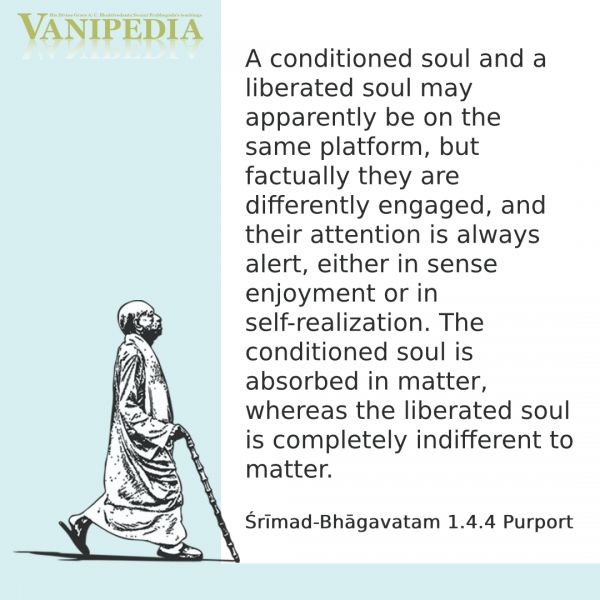 File:SB01.04.04 Image-quote.jpg