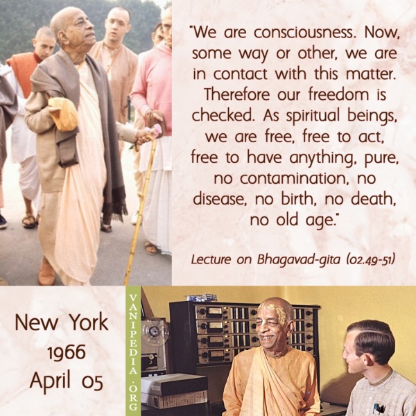 File:040566a Image-quote.jpg
