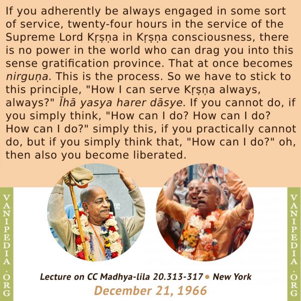 File:122166b Image-quote.jpeg