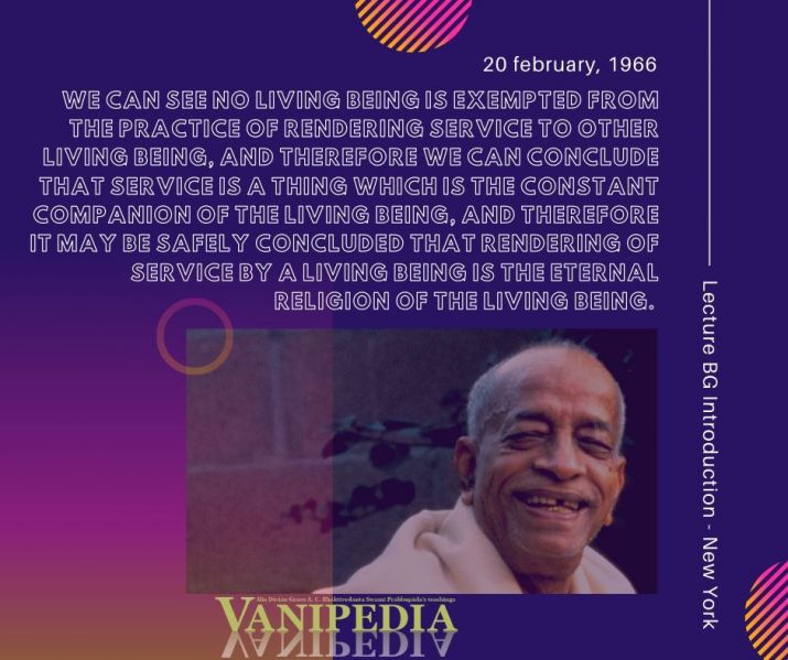 File:022066b Image-quote.jpg