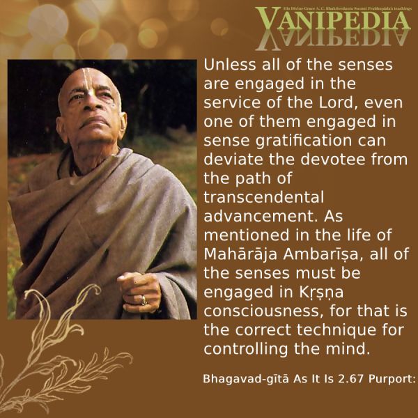 File:BG02.67 Image-quote.jpg