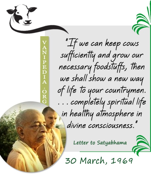 File:033069 Image-quote.jpg
