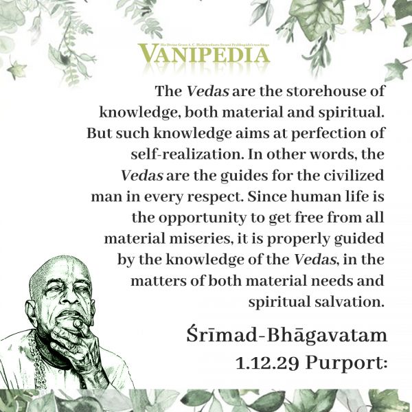 File:SB01.12.29 Image-quote.jpg