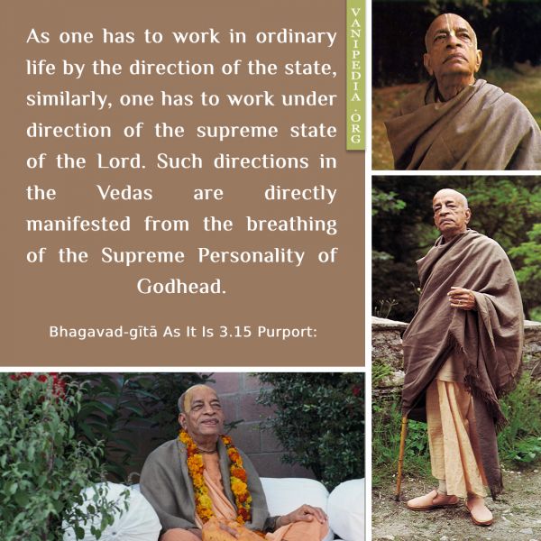 File:BG03.15 Image-quote.jpg