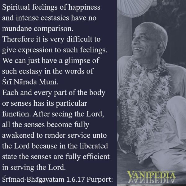 File:SB01.06.17 Image-quote.jpg