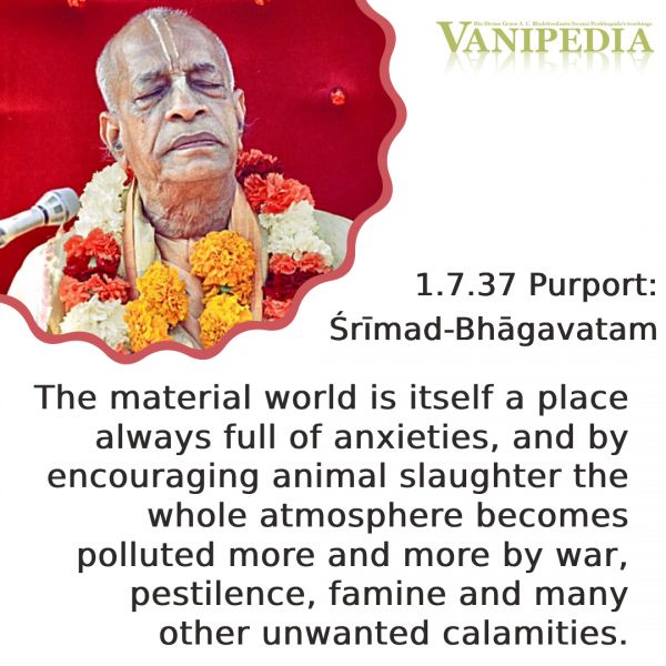 File:SB01.07.37d Image-quote.jpg