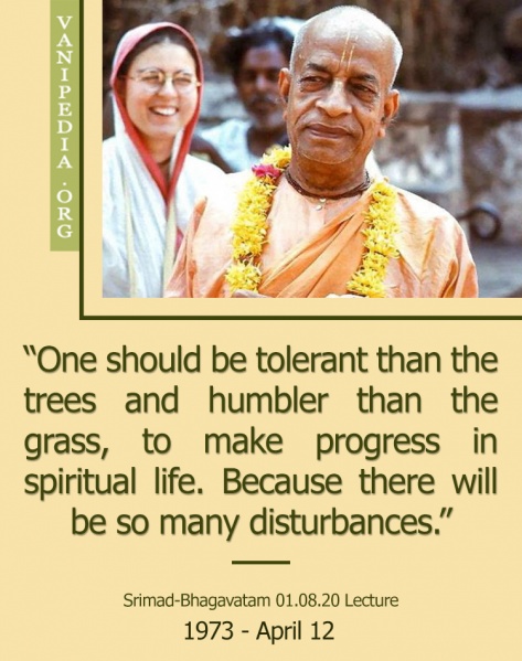 File:041273 Image-quote.jpg